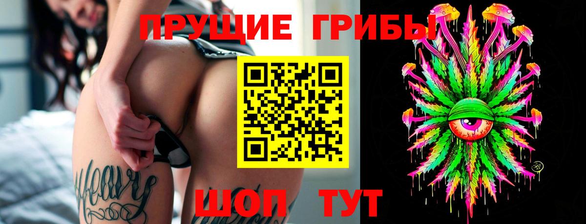 Галлюциногенные грибы Psilocybine cubensis  Вход с VPN  Саранск 